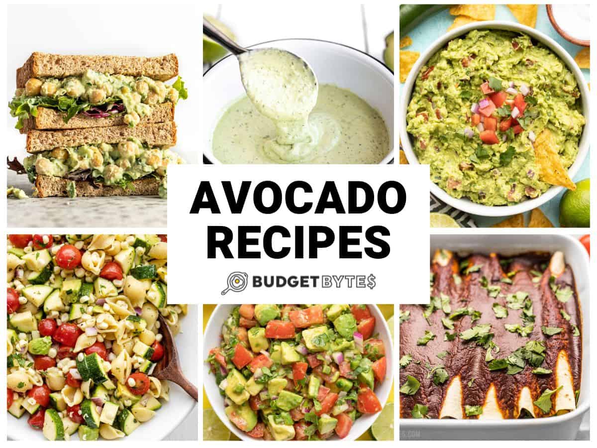avocado recipes