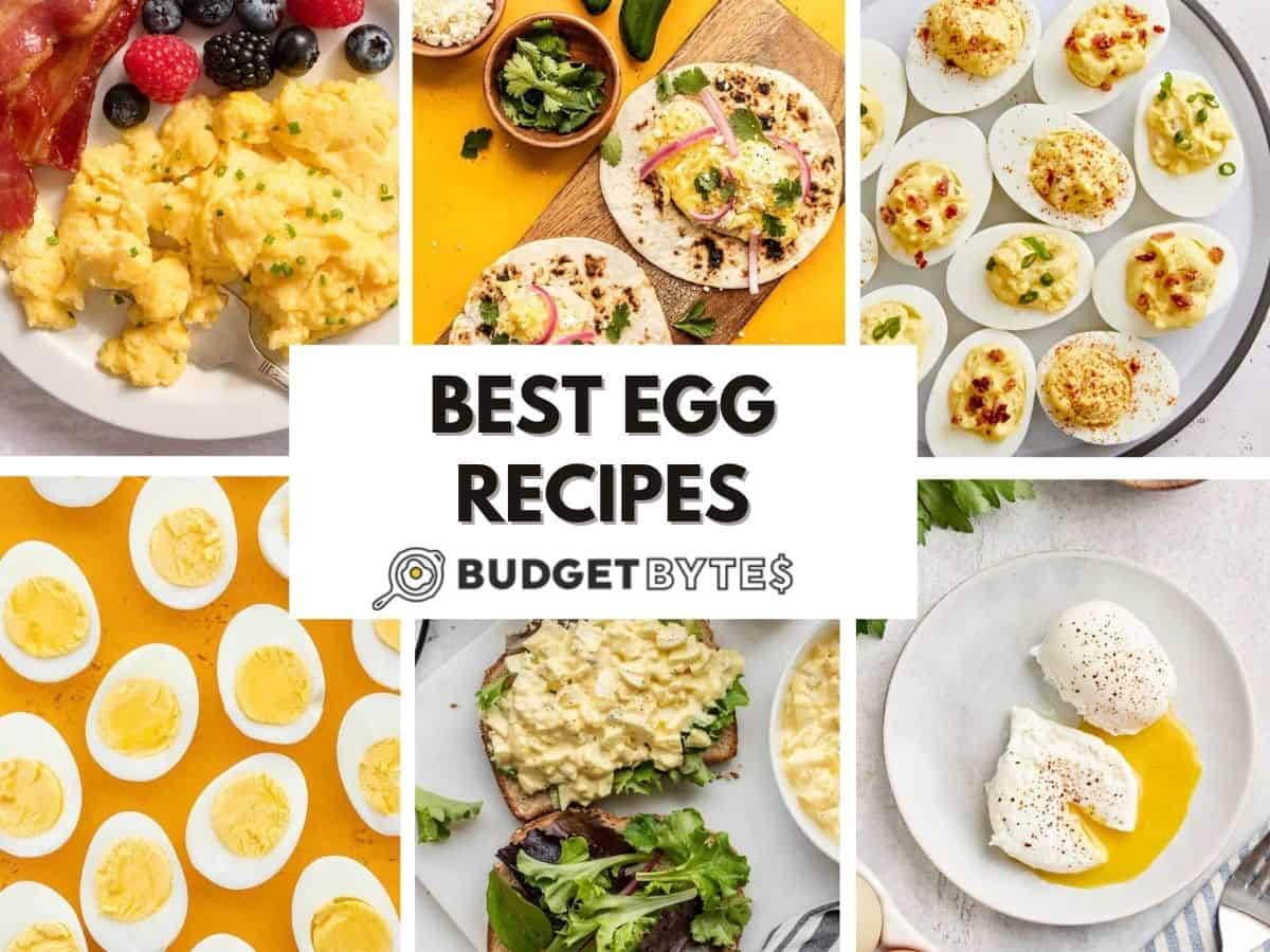 best egg recipes