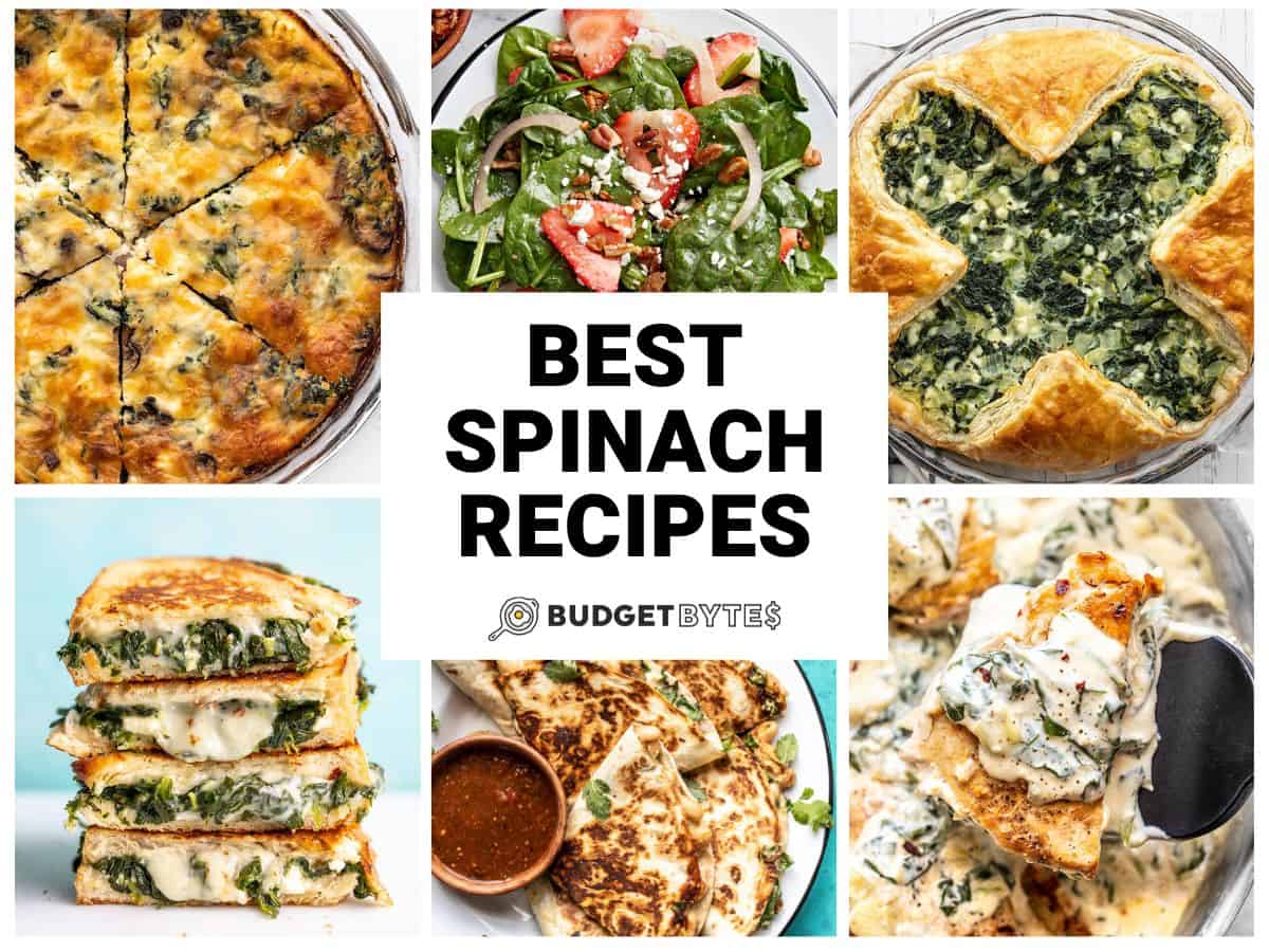 best spinach recipes