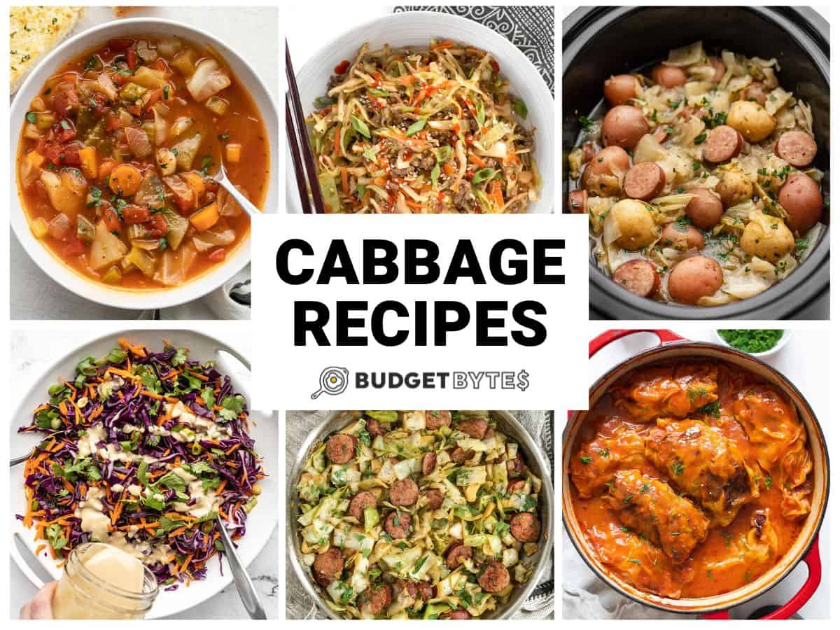 cabbage recipes