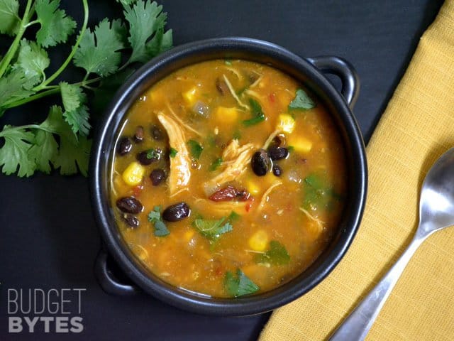 chicken pumpkin soup