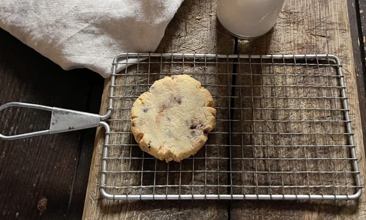 chocolate chip cookie