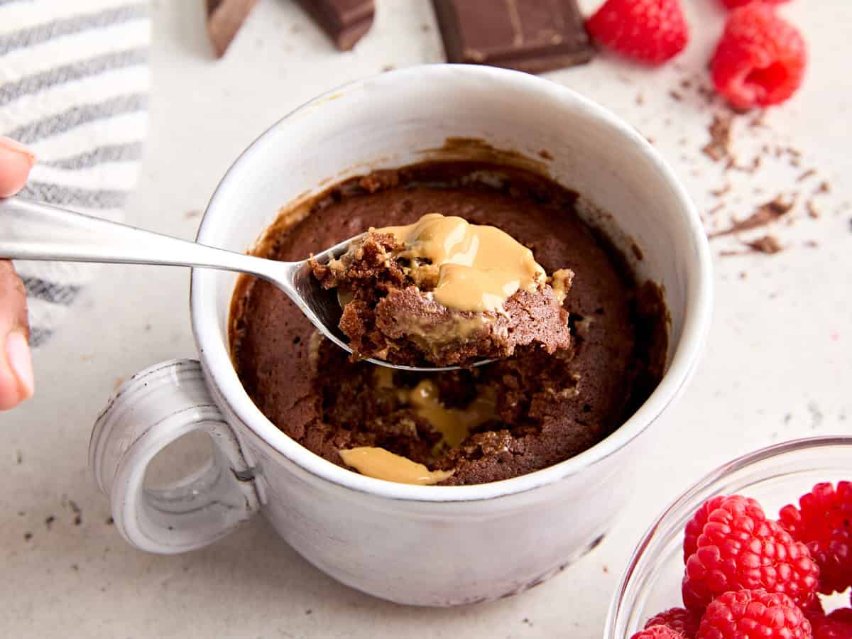 chocolate mug cake