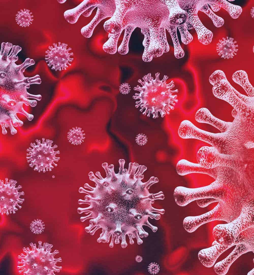 coronavirus family