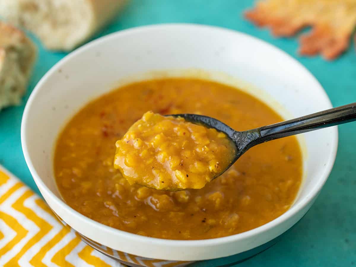 curried red lentil