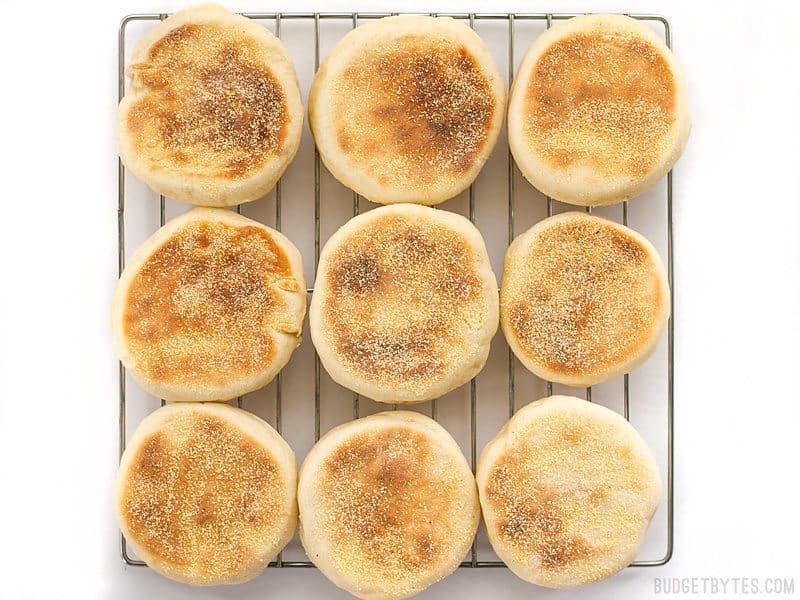 homemade english muffins