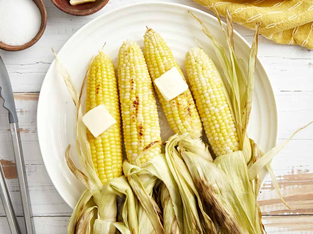 grilled corn cob