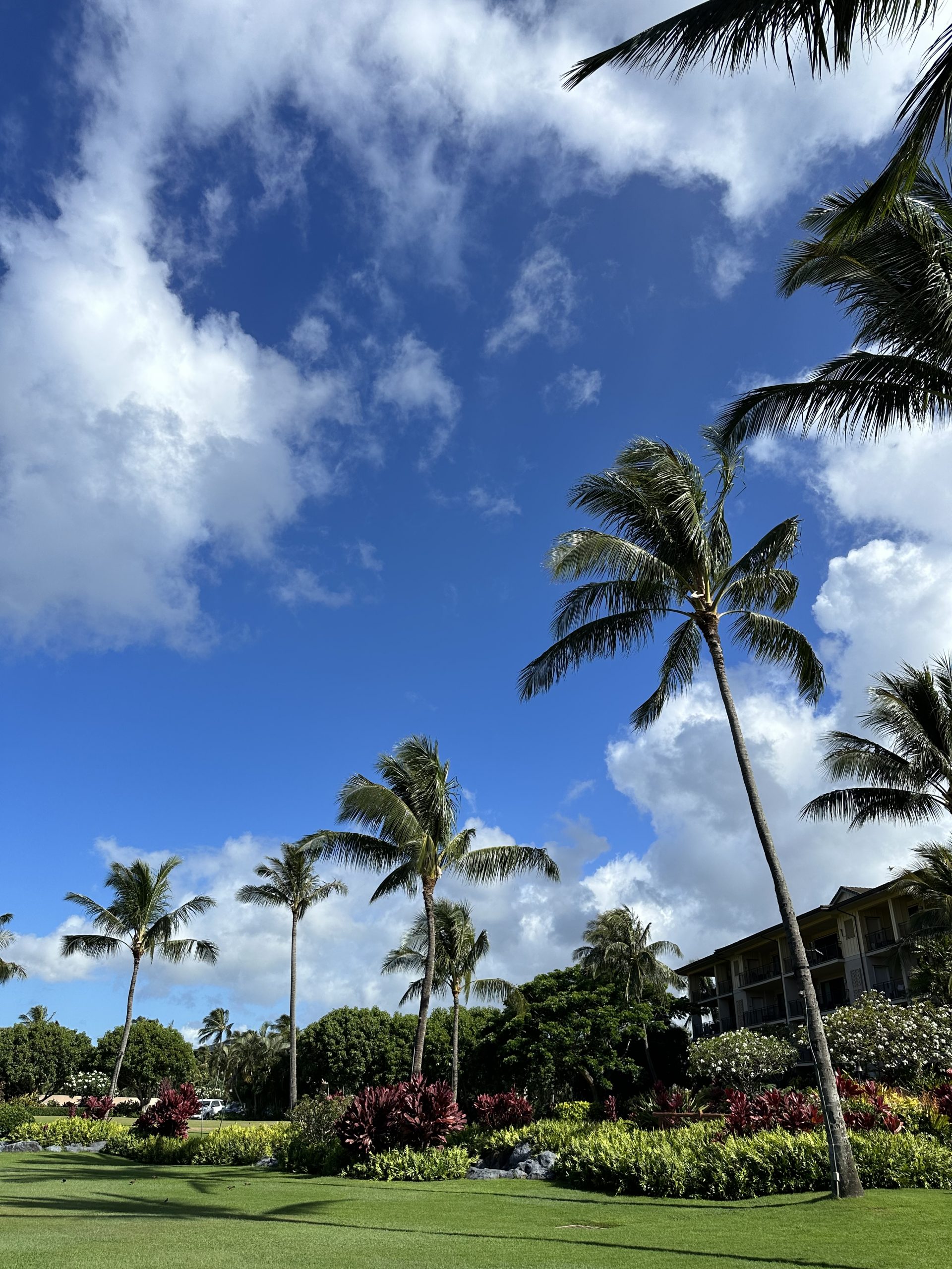 kauai south shore