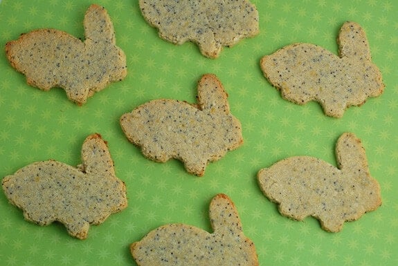 lemon poppy seed