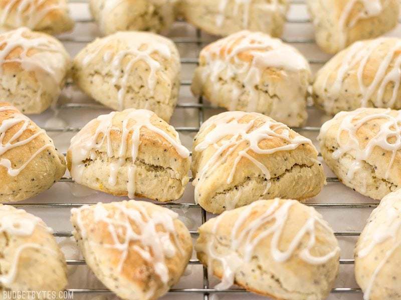 lemon poppy seed