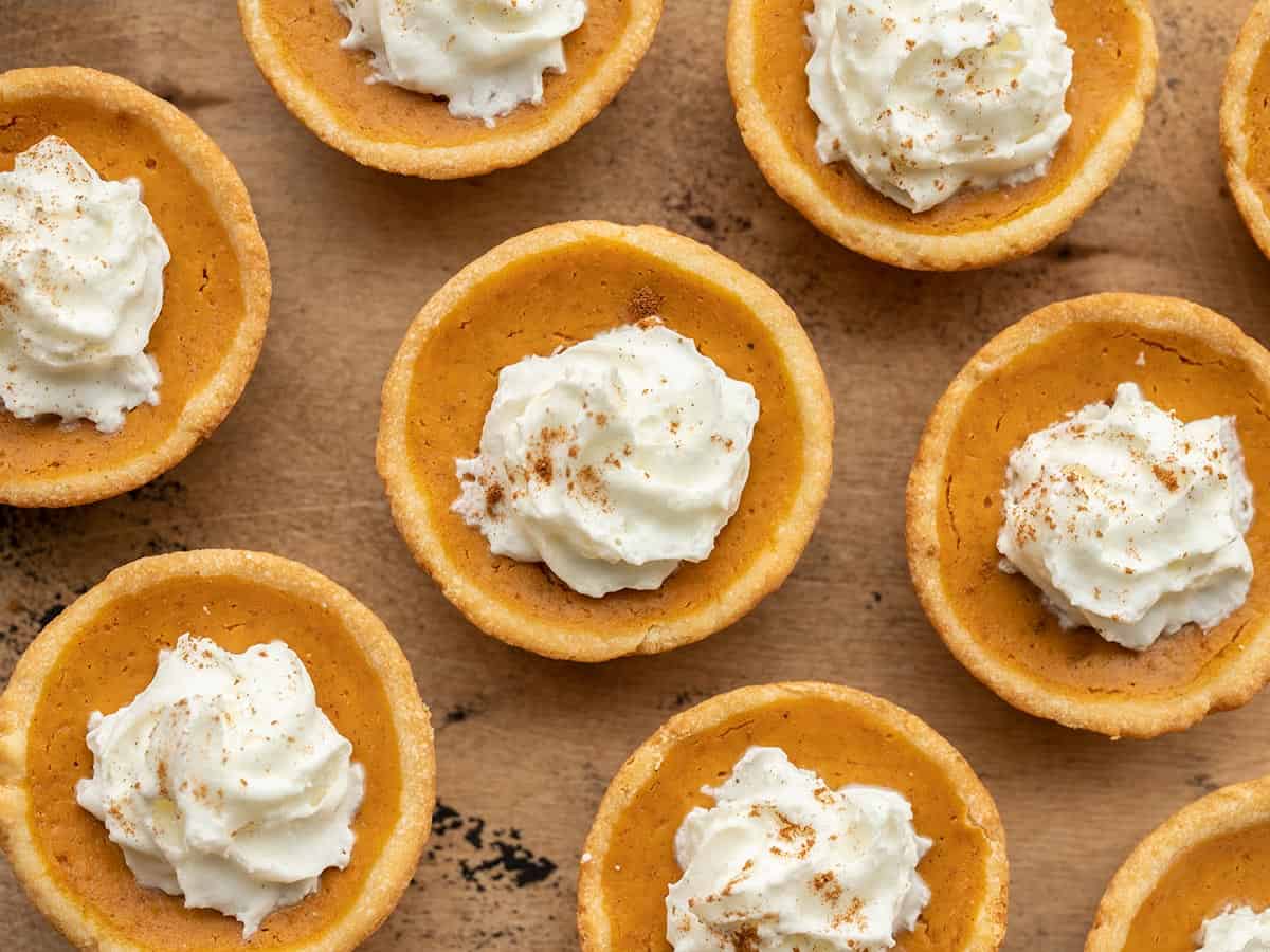 mini pumpkin pies