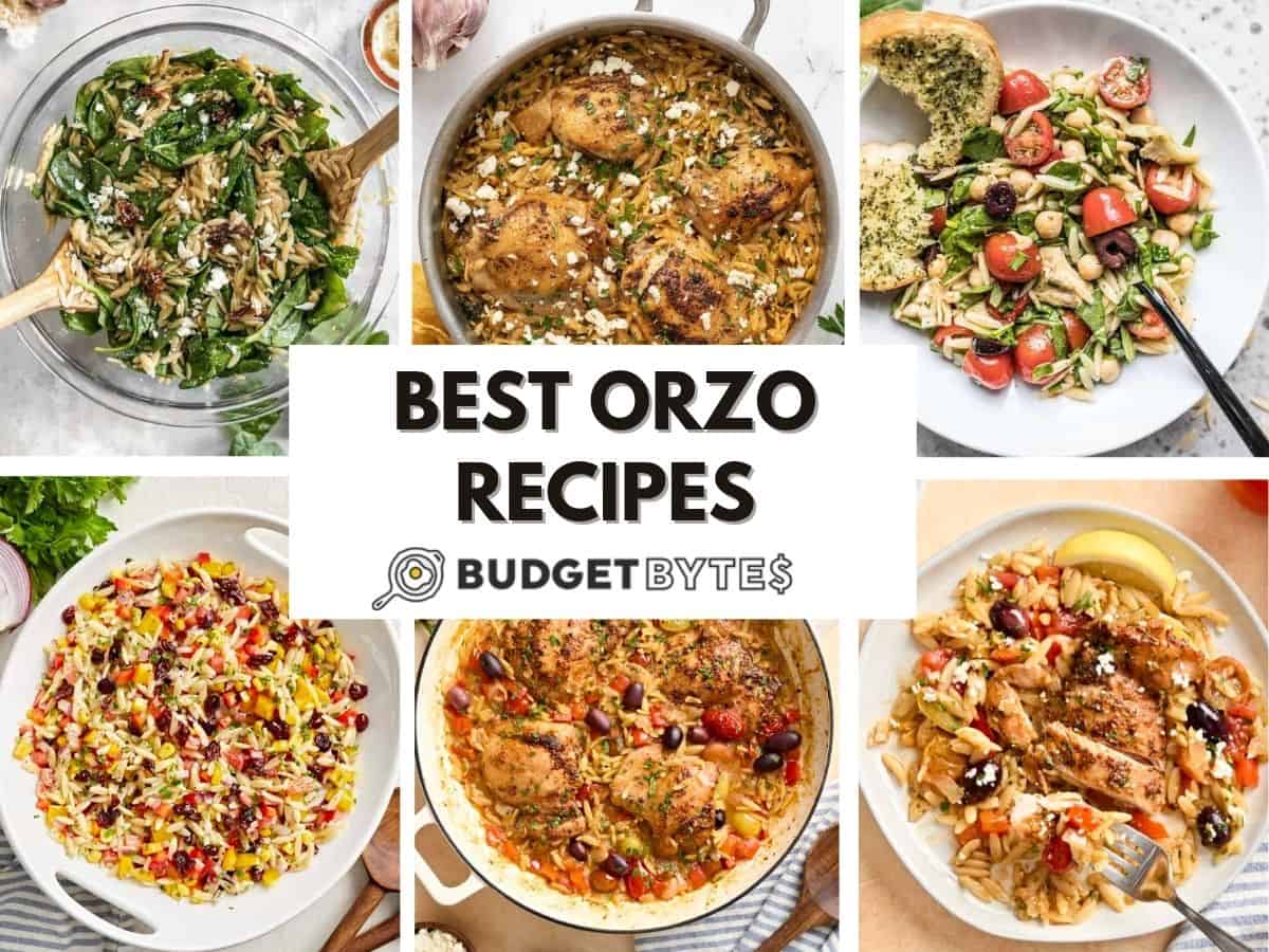 orzo recipes you