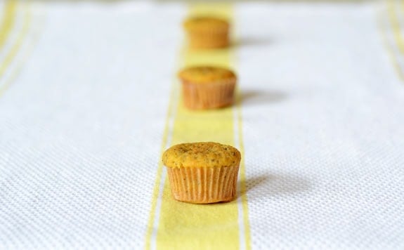 paleo lemon poppyseed