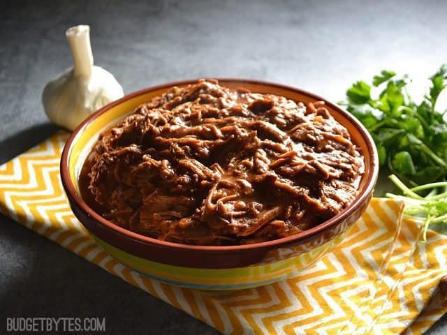 southwest shredded beef