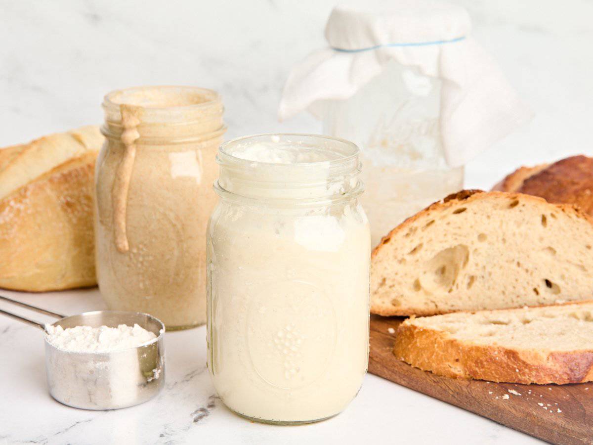 sourdough starter