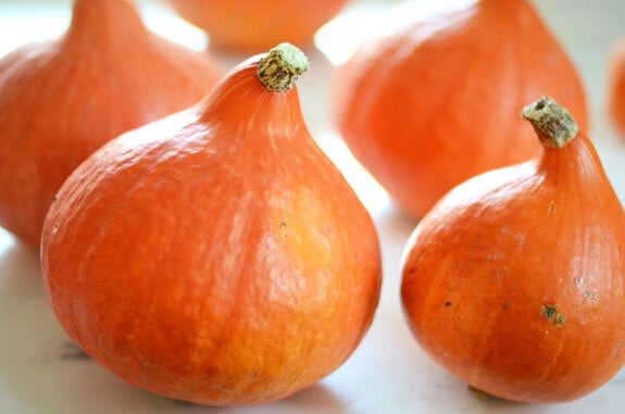 red kuri squash
