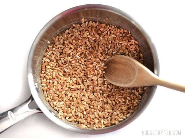 cook farro