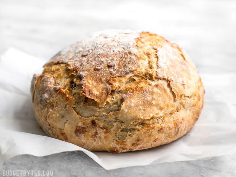 tomato basil knead