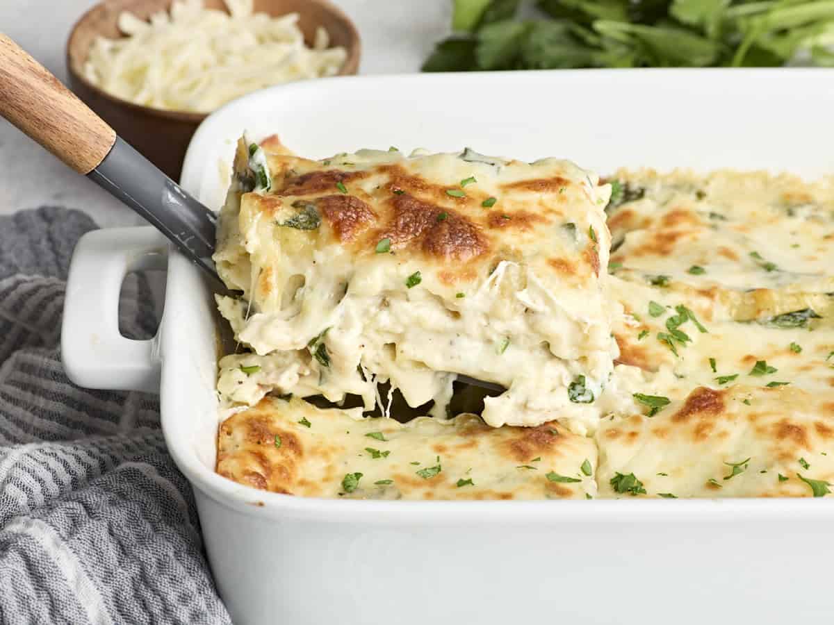 white chicken lasagna