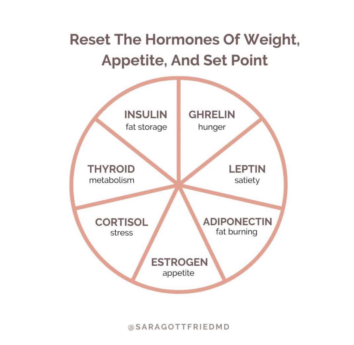 women food hormones