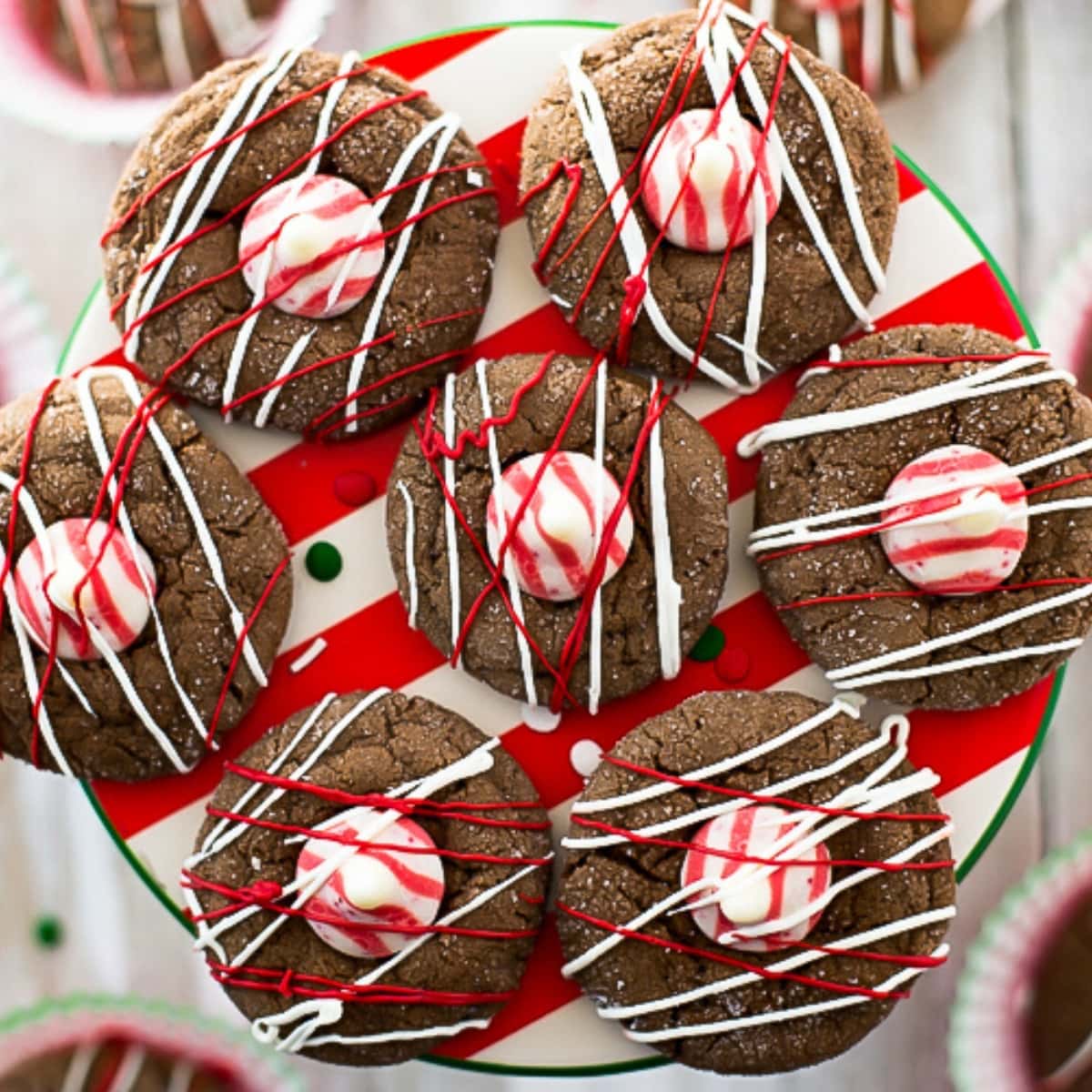 chocolate peppermint blossom