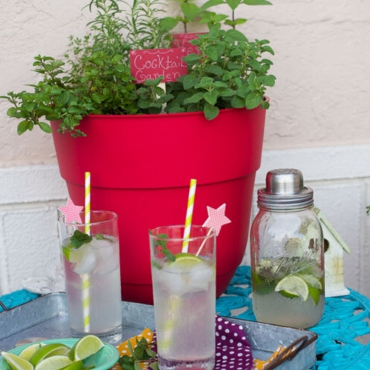 grow cocktail herb