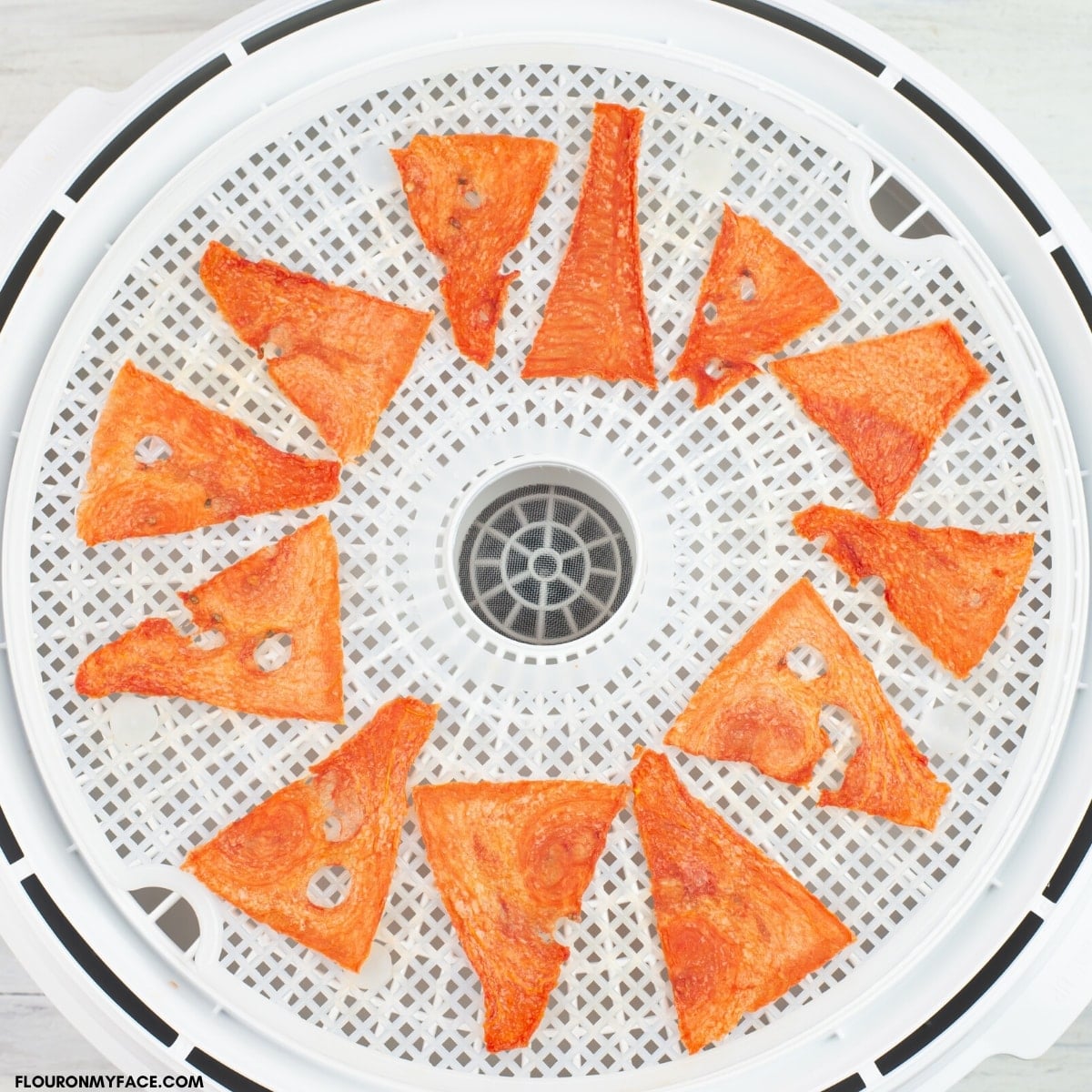 make dehydrated watermelon