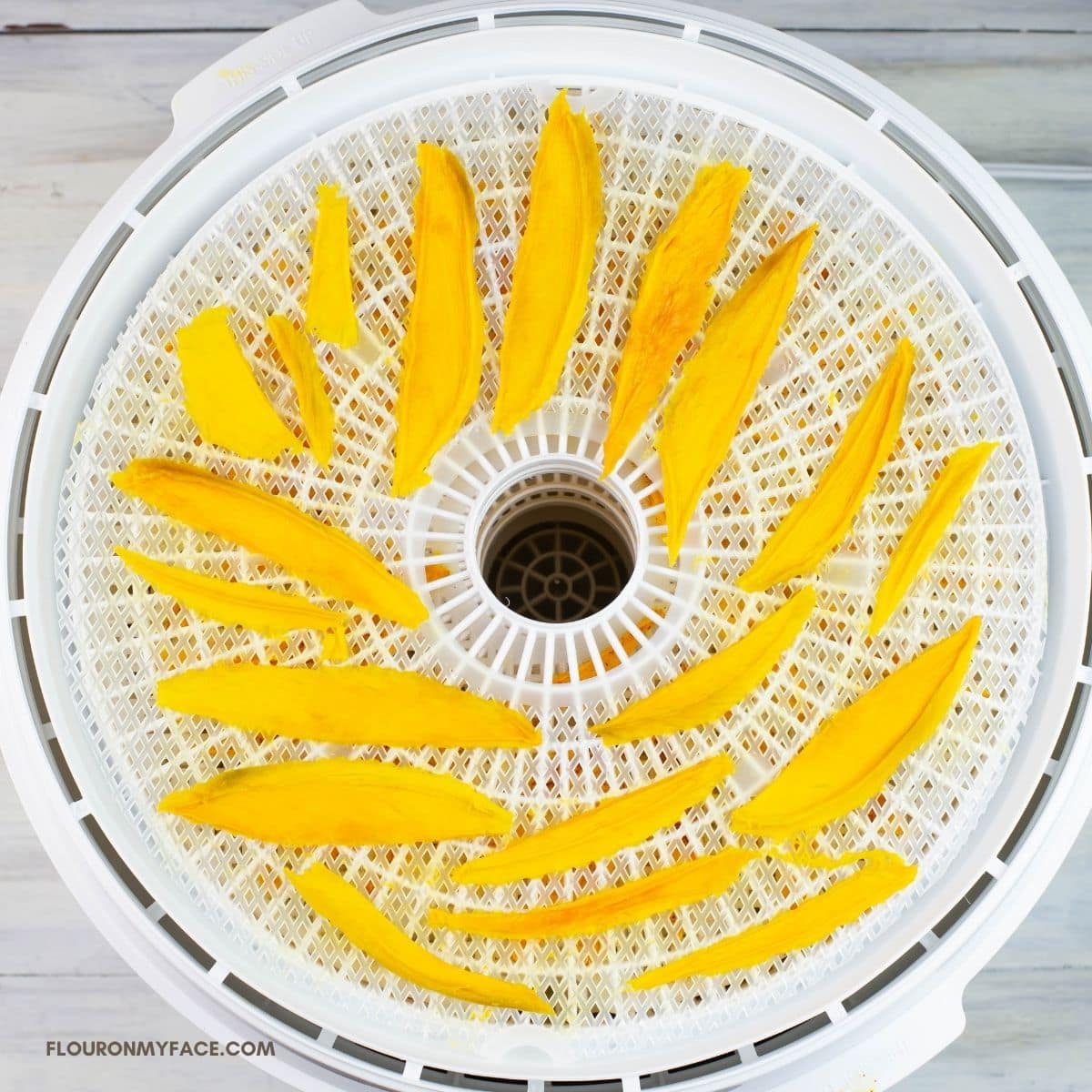 dehydrate mango