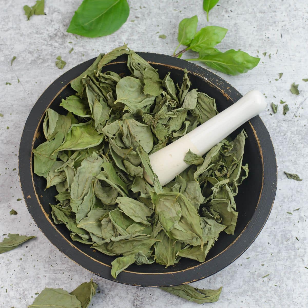 dehydrate basil