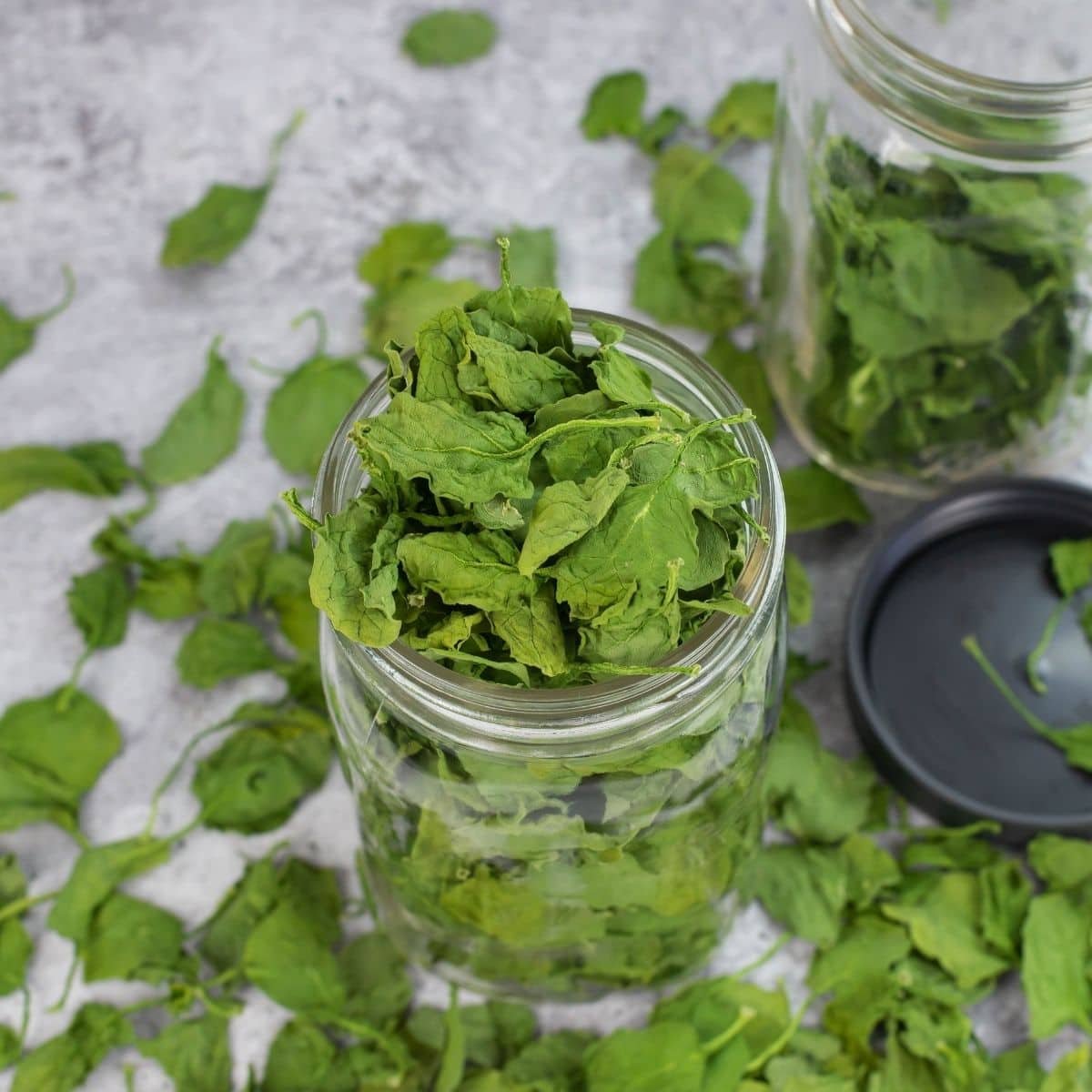 dehydrate spinach