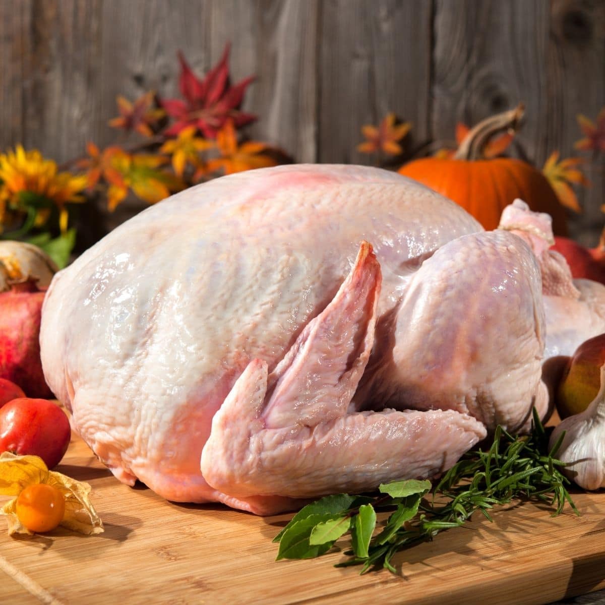 roast moist thanksgiving